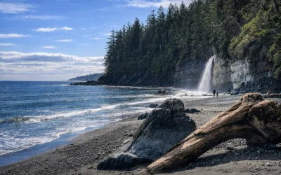 The Tide of Change: Why Beach Cleaning Matters More Than Ever